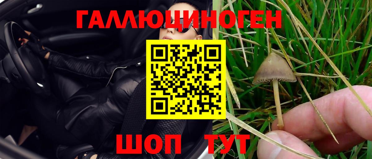 Галлюциногенные грибы Cubensis Урус-Мартан