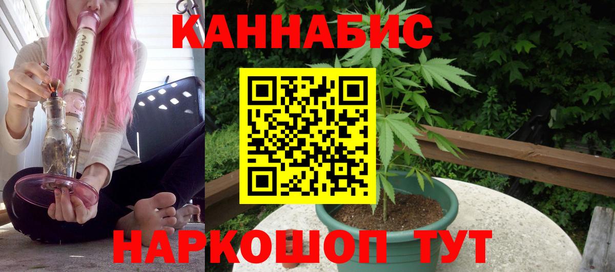 Марихуана сатива Урус-Мартан