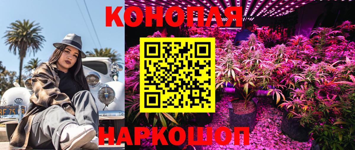 Урус-Мартан  Каннабис THC 21%  Каннабис Ganja  Вход с VPN  Марихуана семена 